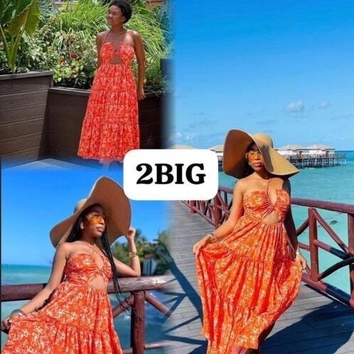 Product image thumbnail: Gown