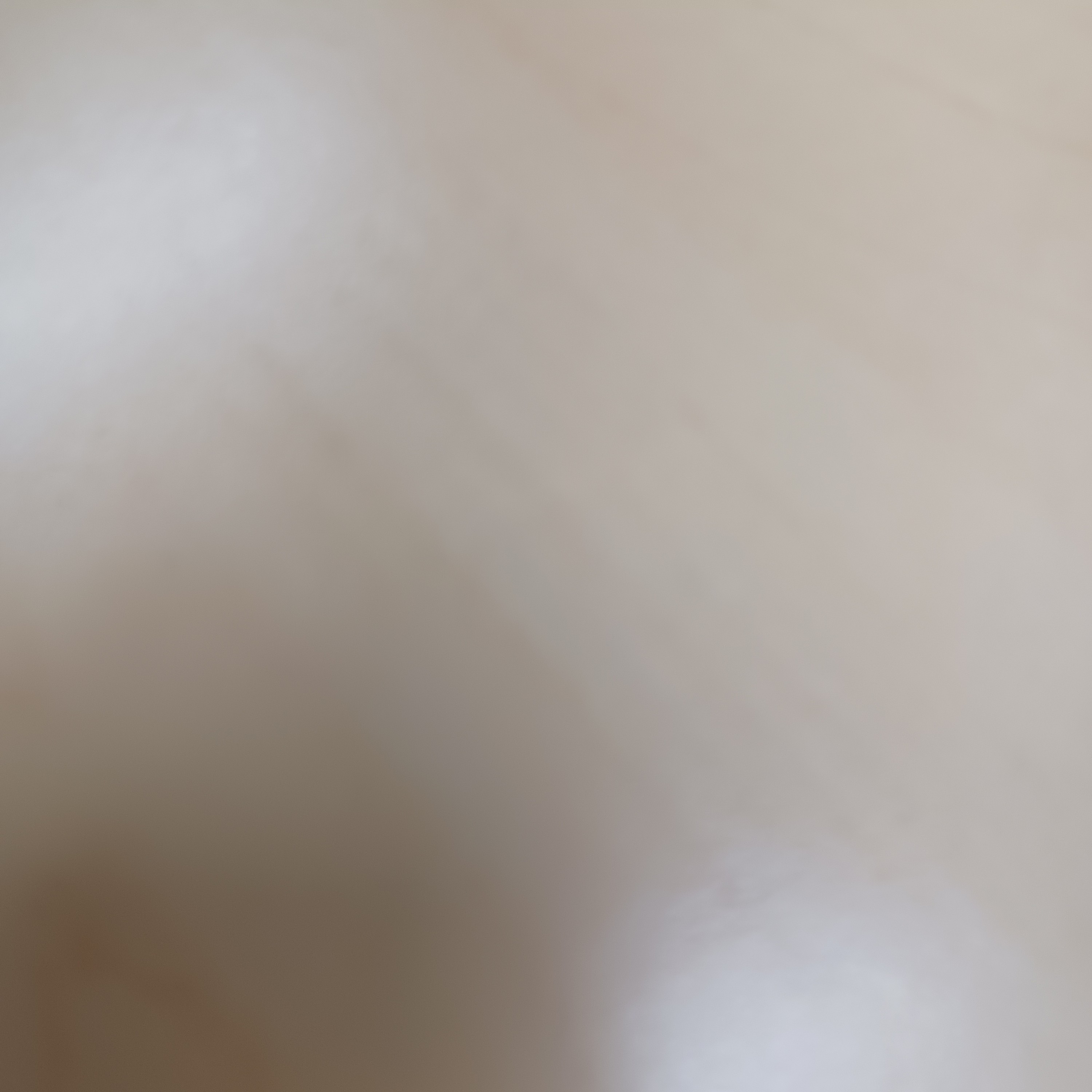 ShoppyMS Image du produit - Test