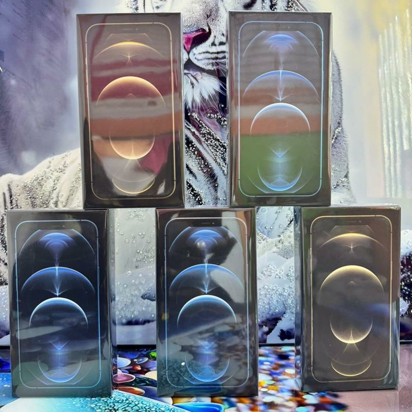 Image de IPHONE 12 PROMAX 128G