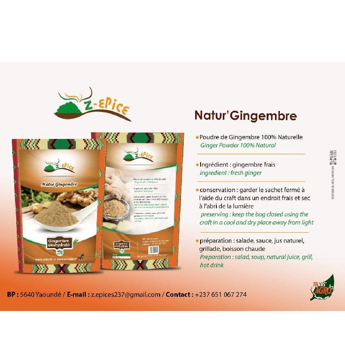 Image du produit : Poudre de gingembre