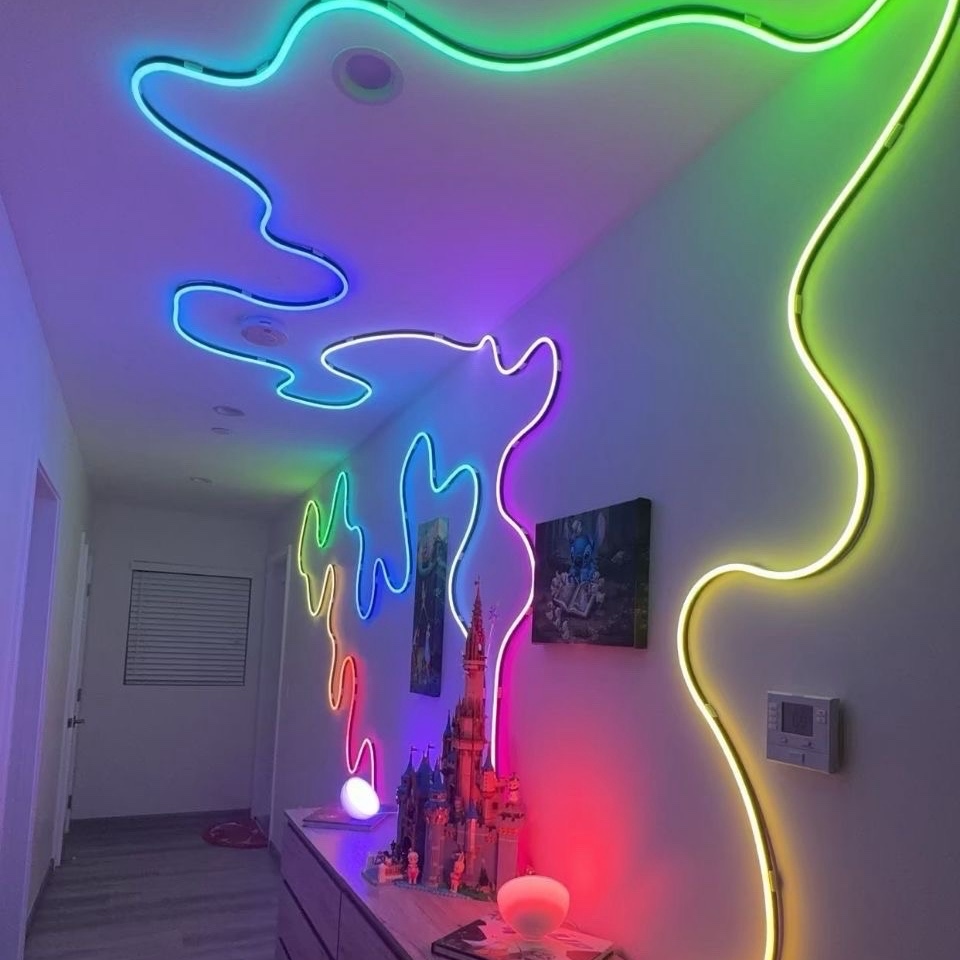 Image de led néon 5m