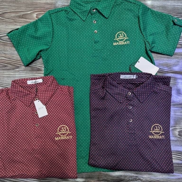 Image of Polo T-shirt