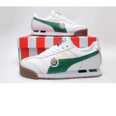 Image du produit : Chaussure Puma pointure 40-45