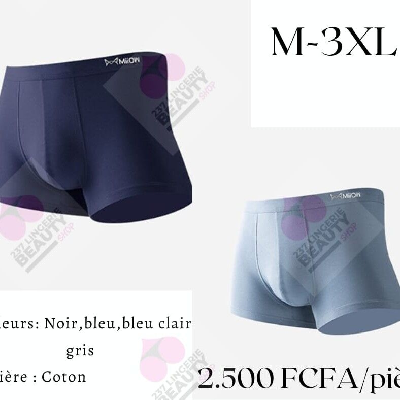 Image du produit : Bermuda (taille M –3XL)