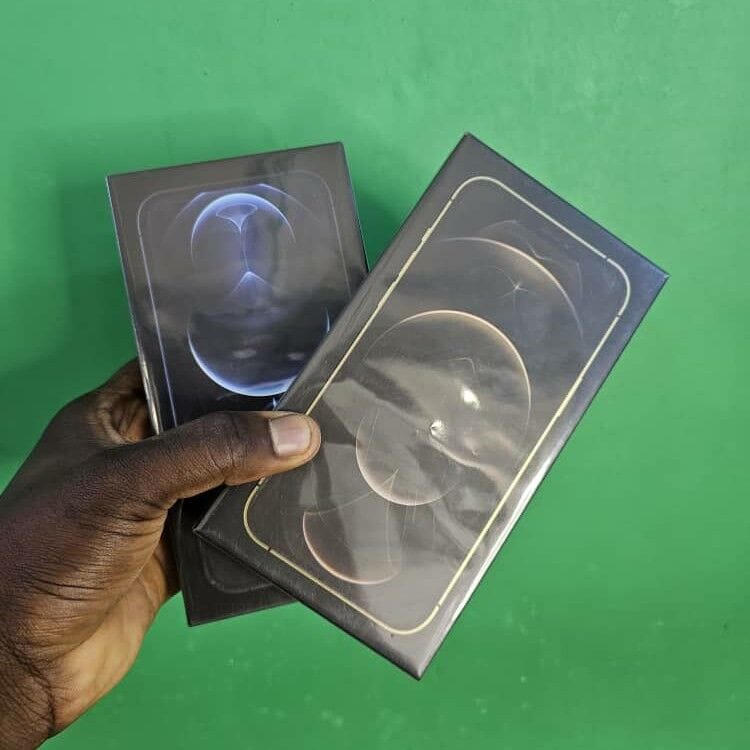 Image de IPHONE 12 PRO MAX 256GB