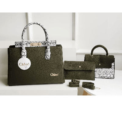Image of CHLOE bag -Melese