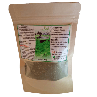 Image de Artemesia Annua