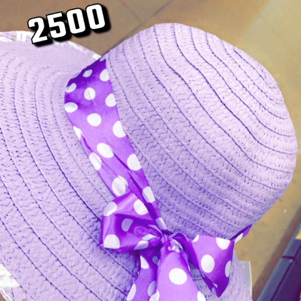 Image de chapeau de plage