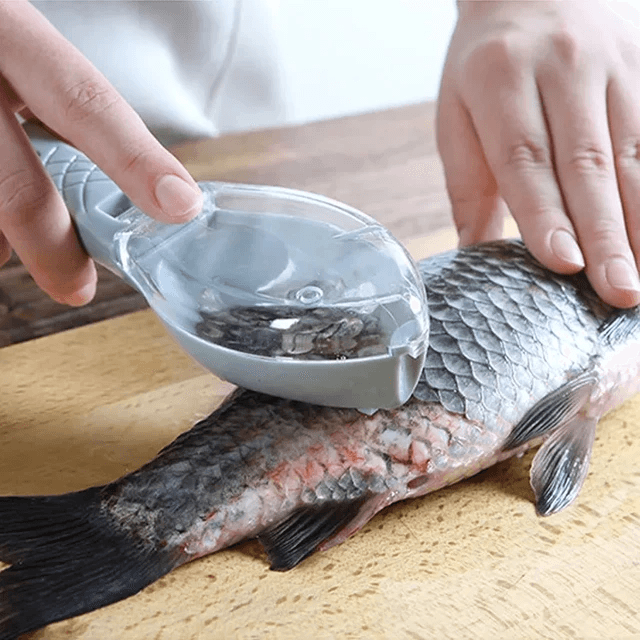 Image de écailleuse de poisson