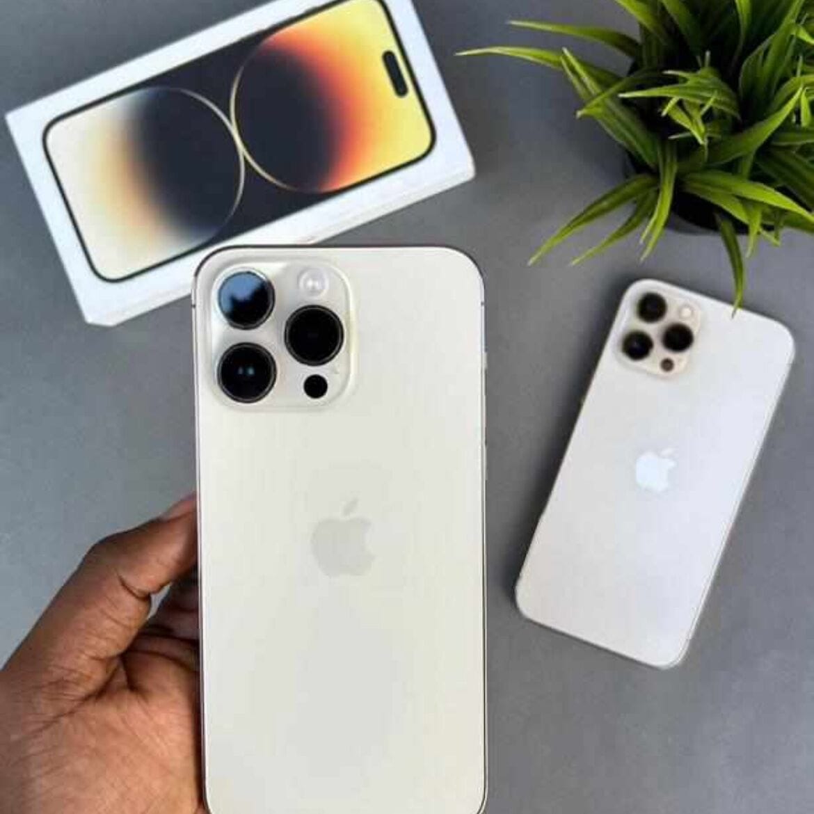 Image de 14promax 128g