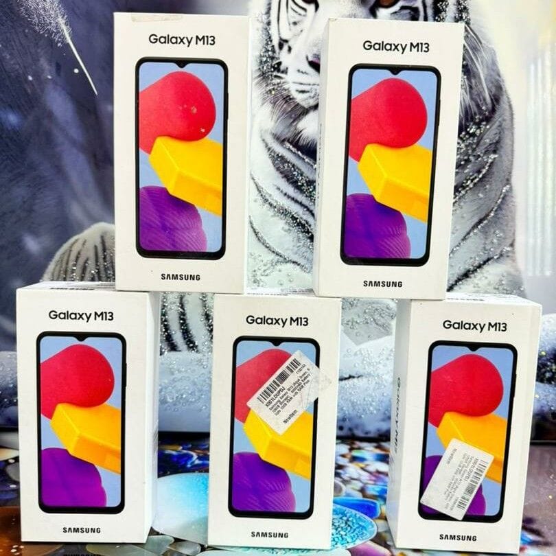 Image de SAMSUNG GALAXY M13 - 64/4