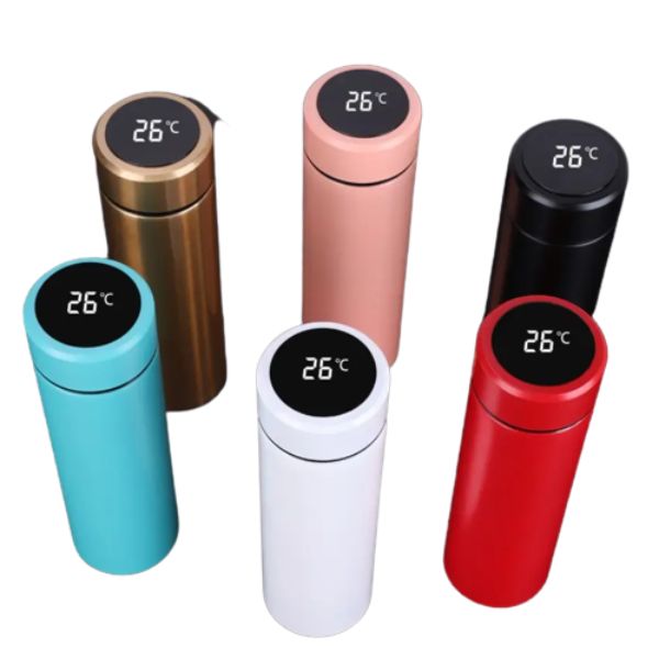 Thermos with internal temperature indicator LED display