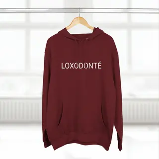 Photo 1 du produit  - Loxodonté Hoodie