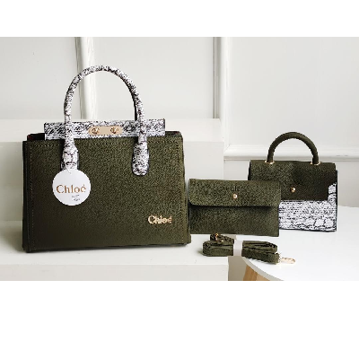 Photo 1 du produit - Sac CHLOE -Mélèse