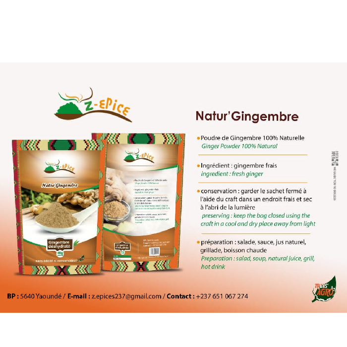 Photo 1 du produit - Poudre de gingembre