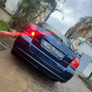 Photo 3 du produit  - Toyota Avensis 2005 (tête de cochon)