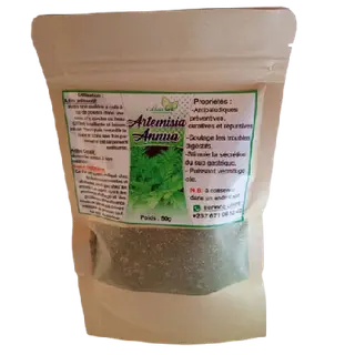Photo 1 du produit  - Artemesia Annua