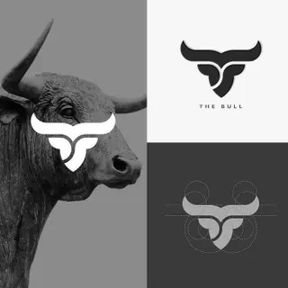 Photo 3 du produit  - création de logo selon vos besoins