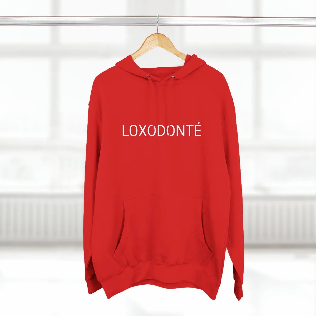 Photo 1 du produit - Loxondonté Hoodies