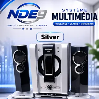 Photo 1 du produit  - NDE9 WOFEUR SILVER