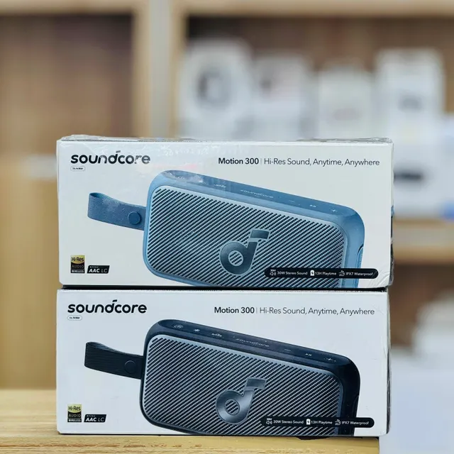 Image of SOUNDCORE MOTION  X300