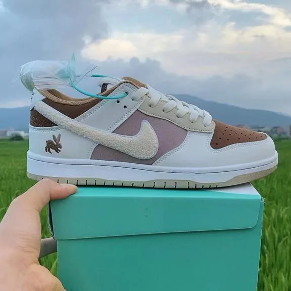 Photo 1 du produit - Baskets mode homme Nike SB