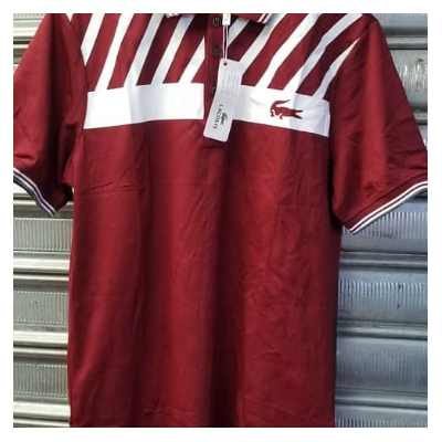 Photo 2 du produit - Polo Lacoste - Marron