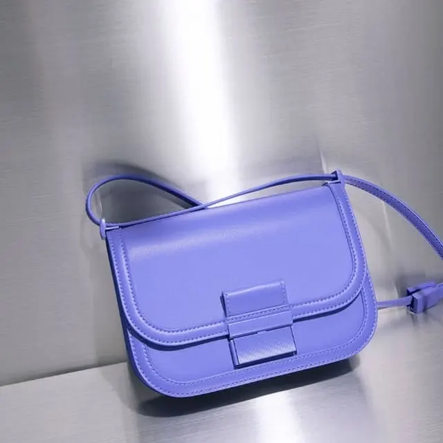 Image de Sac de Luxe _ Charles & Keith 📦