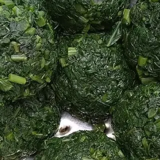 Product image attachment 1 - Nkeya (eggplant leaf)
