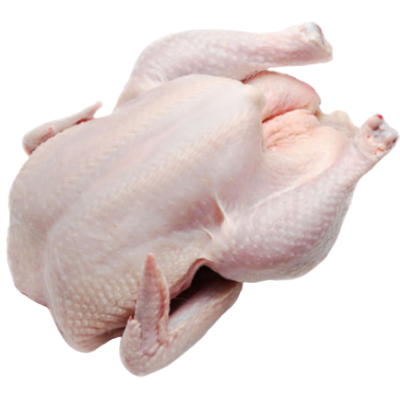 Product image attachment 1 - Cleaned fresh chicken