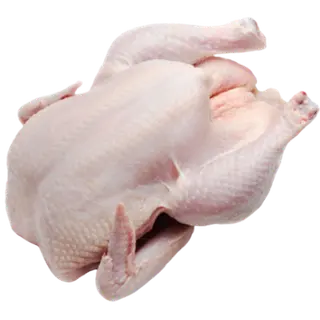 Product image attachment 1 - Cleaned fresh chicken