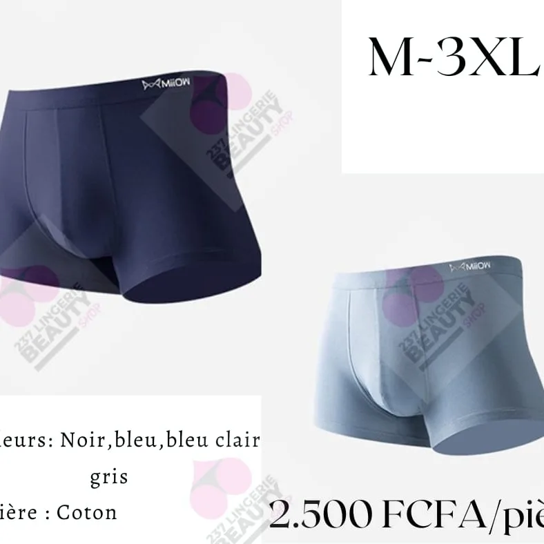 Photo 1 du produit - Bermuda (taille M –3XL)