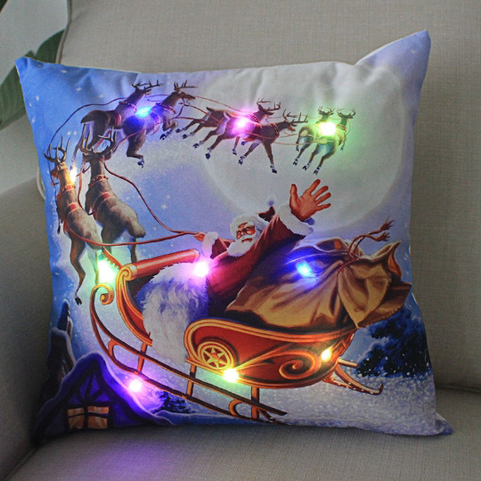 Photo 1 du produit  - coussin lumineux