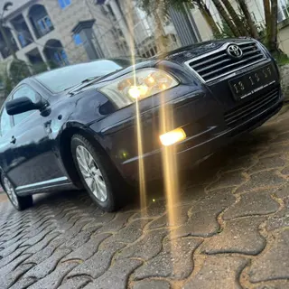Photo 2 du produit  - Toyota Avensis 2005 (tête de cochon)