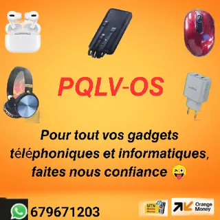 PQLV-OS logo