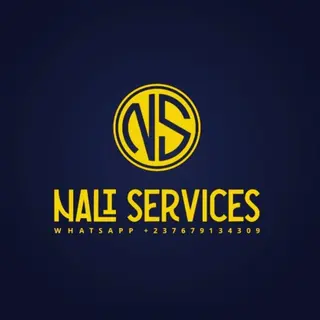 Nalisuits logo